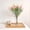 Pink, variant on Clearance! JMYHOAM Simulated Flowers Five Blossoms Home Decor Vase Flower Arrangement Outdoor Wedding Gardening Decoration Fake Flowers Artificial Flowers for Outdoors