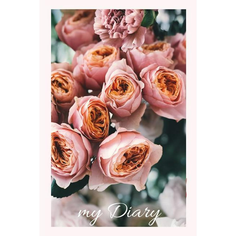 my Diary A Diary / Notebook with romantic Cover Wide Ruled Line