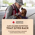 View all media
