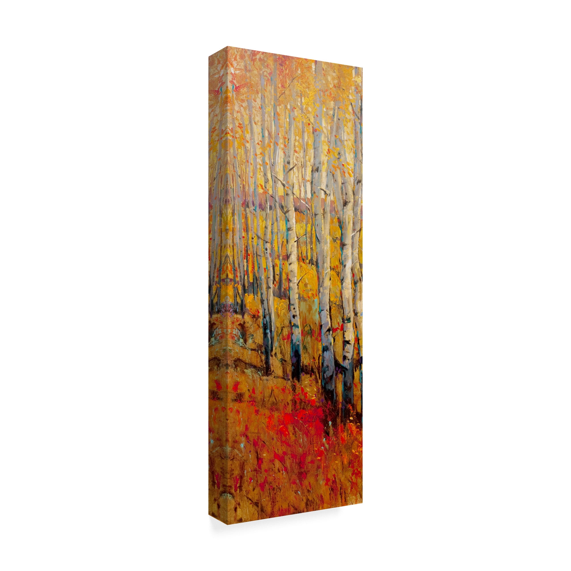 Trademark Fine Art 'Vivid Birch Forest I' Canvas Art by Tim OToole