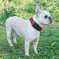 thumbnail image 6 of Ladoogo Reflective Dog Collar Padded with Soft Neoprene Breathable Adjustable Nylon Dog Collars for Small Medium Large Dogs (Small (Pack of 1), Red Plaid Collar+Leash), 6 of 6