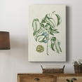 thumbnail image 5 of Buchoz Tropicals V Premium Gallery Wrapped Canvas - Ready to Hang, 5 of 9