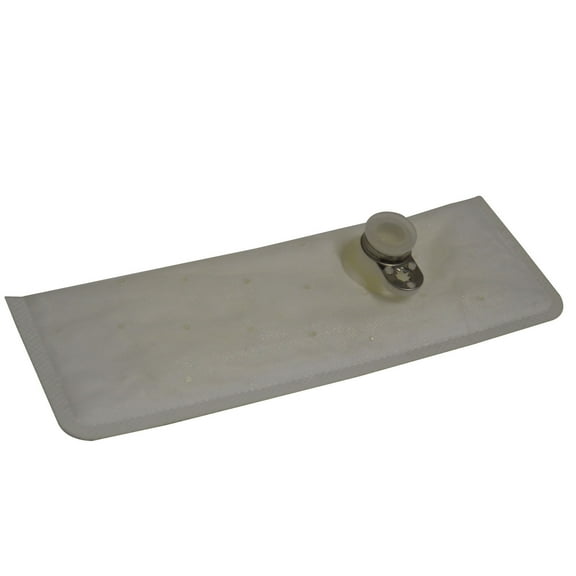 GMB 525-4160 Fuel Pump Screen
