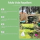 thumbnail image 5 of Mole Repellent Powerful Vole Gopher Groundhog Rodent Repellant for Outdoor Lawn Garden Yard, Safe and Effective Gopher Deterrent, Armadillo Repellant, 5 of 5