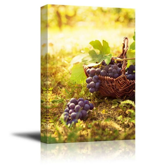 Canvas Prints Wall Art - Grapes Harvest in Vineyard with Basket of Grapes in Autumn | Modern Wall Decor/Home Decoration Stretched Gallery Canvas Wrap Giclee Print & Ready to Hang - 36" x 24&