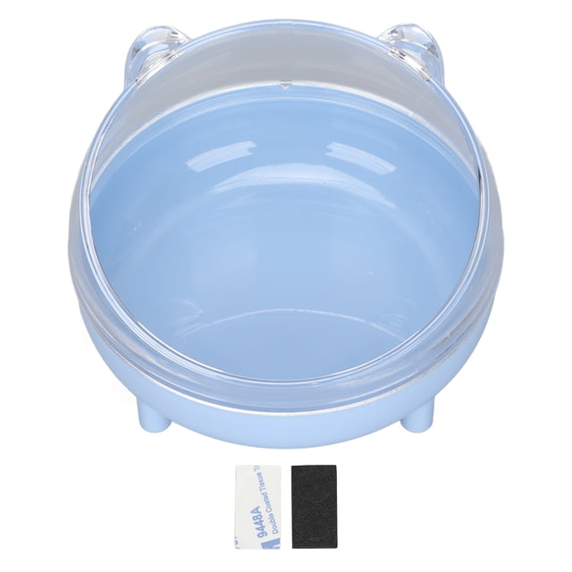 Bol d'Alimentation Incliné pour Animaux, Base Stable Réduit la Charge sur le Cou Bol d'Alimentation Confortable pour Intérieur Bleu