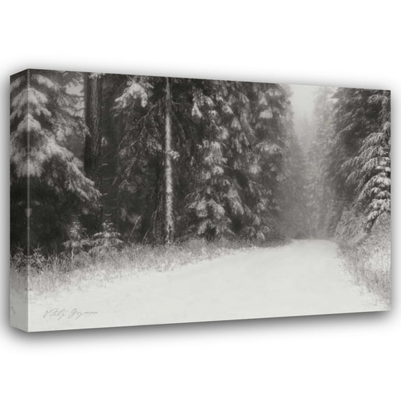 Vitaly Geyman 18x14 Gallery Wrapped Canvas Wall Art Titled - Winter Pine Tree Paradise BandW