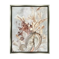 Stupell Industries Beige Mixed Seashells Animals & Insects Painting Gray Floater Framed Canvas Art Print Wall Art, 17 x 21