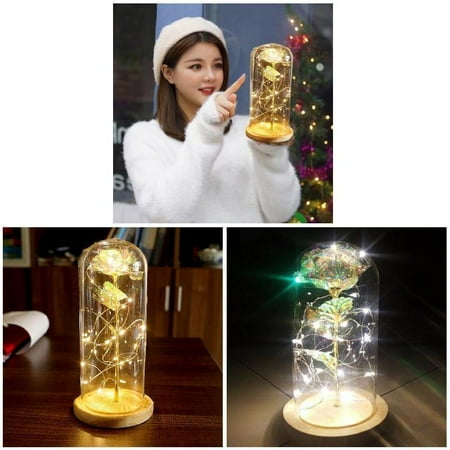 

Rose LED Light Copper Wire Light Glass Dome Night Lamp Micro Landscape