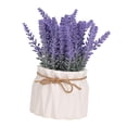 thumbnail image 2 of AMLESO Lavender Potted Plant Arrangement Flower Flower Pot for Hotel Kitchen Office B, 2 of 8