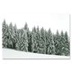 thumbnail image 1 of Carteles de invierno del país de las Maravillas, impresiones de Navidad, abeto, pino, reno, alce, lienzo, pintura, paisaje, pared, arte, imagen, decoración, 1 of 4