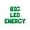 Green, variant on Letter Balloons - BIG LEO ENERGY 16" Inch Alphabet Letters Foil Mylar Balloon Birthday Party Banner (Pink)