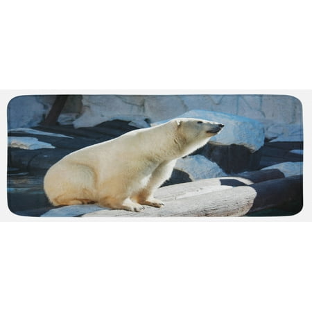 

Zoo Kitchen Mat Polar Bear Wildlife Park Rocks Water Cold Climate Tourist Attraction Image Plush Decorative Kitchen Mat with Non Slip Backing 47 X 19 Pale Blue Black Cream by Ambesonne