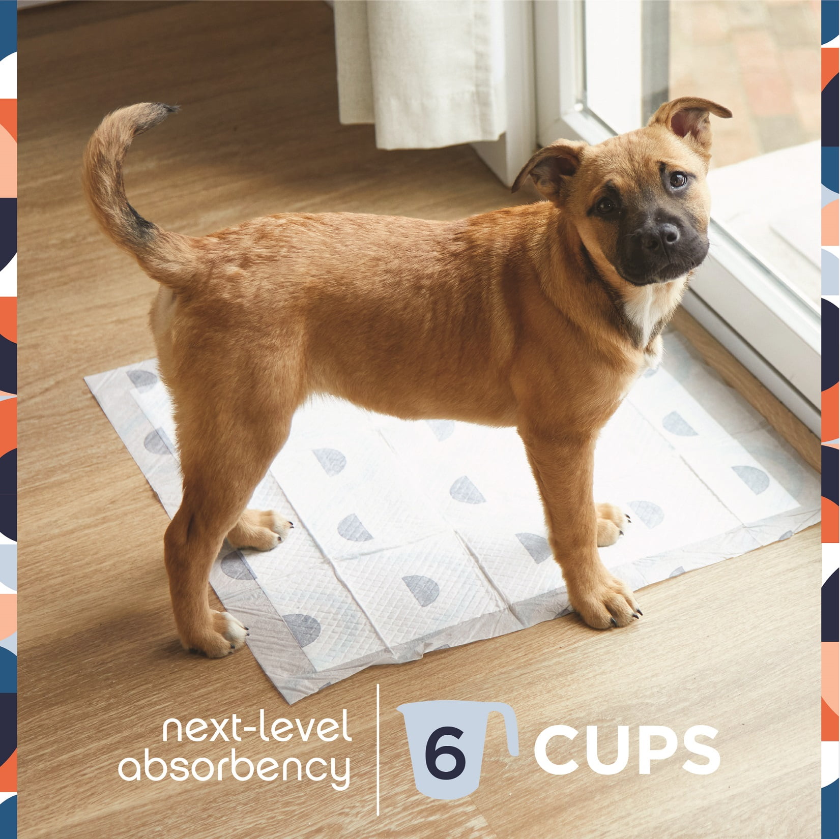 (2 pack) Pet Life Unlimited Dog Pads, Smart Prints, Large, Sunshine & Rainbows Print, 75ct