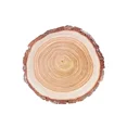 thumbnail image 2 of 25 Natural Wood Slice Design Round Paper Plates Party Events Home Decorations, 2 of 6