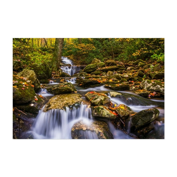 Stoney Fork Cascades - North Carolina Photography Unframed Wall Art Print 5 x 7 inches