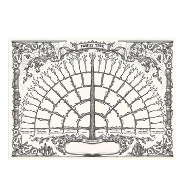 LCXmlly Unique Family Tree Print Family Tree Diagram Empty Poster Unique Canvas Genealogy Chart Gift for All Occasions