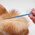 thumbnail image 5 of Peine para el cuidado de mascotas Peine de cola de rata Peines para recortar el pelo de gatos Peine para peinar perros Eliminación de pelo flotante Desenredado para gatos y perros Peine para, 5 of 5
