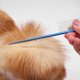 thumbnail image 5 of Peine para el cuidado de mascotas Peine de cola de rata Peines para recortar el pelo de gatos Peine para peinar perros Eliminación de pelo flotante Desenredado para gatos y perros Peine para, 5 of 5
