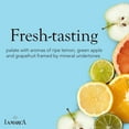 thumbnail image 5 of La Marca Prosecco Sparkling Wine 3 Single Serve, 187ml Bottles, 5 of 7