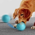 thumbnail image 2 of Interactive Dog Ball Toy - Automatic Motion Activated Rolling & Jumping Ball for Small Medium Dogs, Durable Anti-Chew Puppy Toys to Keep Pets Busy with Bouncing & Rotating Action, 2 of 4