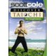 Scott Cole: Discover Tai Chi For Beginners (DVD) - Walmart.com