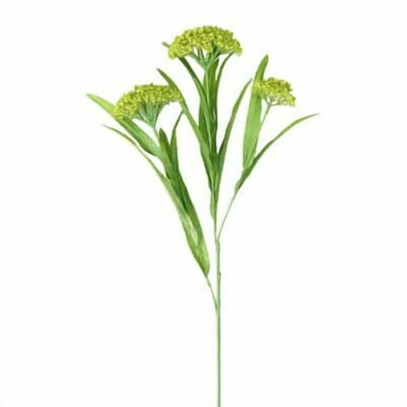 12 Pack: Green Queen Anne's Lace Spray by Ashland