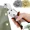 100 Gold + 100 Silver, variant on Multi-Functional Grommet Handheld Pliers, 3/8 Inch Heavy-Duty Portable Eyelet Setter Tool, for Punching Round Holes In Leather, Belts, Tarps, Fabric,summervibes fathersdaygift
