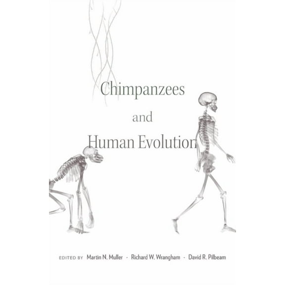 Chimpanzees and Human Evolution (Hardcover)