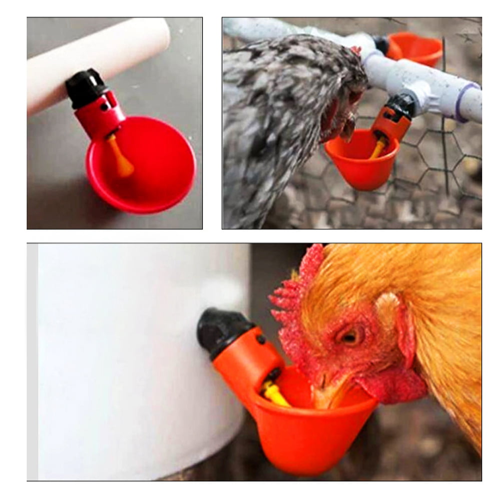 4 New Chicken Drinker Cups & Tees with float valve Poultry water bowl 