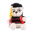 thumbnail image 1 of FELTECHELECTR Oso de peluche conmemorativo de graduación, gafas, regalo de graduación, 1 of 6