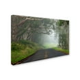 thumbnail image 2 of Trademark Fine Art 'Foggy Road near Dillon Beach' Canvas Art by Mike Jones Photo, 2 of 3