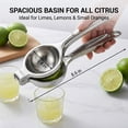 thumbnail image 5 of Lemon Squeezer Stainless Steel, Manual Citrus Press Lemon Lime Squeezer,Metal Lemon Squeezer,Lemon Lime Orange for Kitchen Home Bar, 1 Pack, 5 of 9