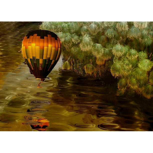 Balloon Vegetation The Illusion Water Nature Inch By 30 Inch Laminated Poster With Bright Colors And Vivid Imagery Fits Perfectly In Many Attractive Frames Walmart Com Walmart Com Balloon Vegetation The Illusion Water Nature Inch By 30 Inch Laminated Poster With Bright Colors And Vivid Imagery Fits Perfectly In Many Attractive Frames Walmart Com Walmart Com