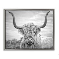 Stupell Industries Black and White Highland Cow Photograph Luster Gray Framed Floating Canvas Wall Art, 24x30, by Joe Reynolds