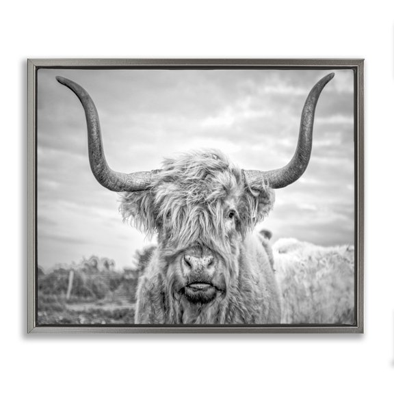 Stupell Industries Black and White Highland Cow Photograph Luster Gray Framed Floating Canvas Wall Art, 24x30, by Joe Reynolds