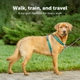 thumbnail image 3 of PetSafe 3 in 1 Harness, No-Pull Dog Harness and Car Restraint, Small, Teal, 3 of 7