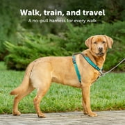 PetSafe 3 in 1 Harness, Fully Adjustable No-Pull Dog Harness and Car Restraint, Medium, Black