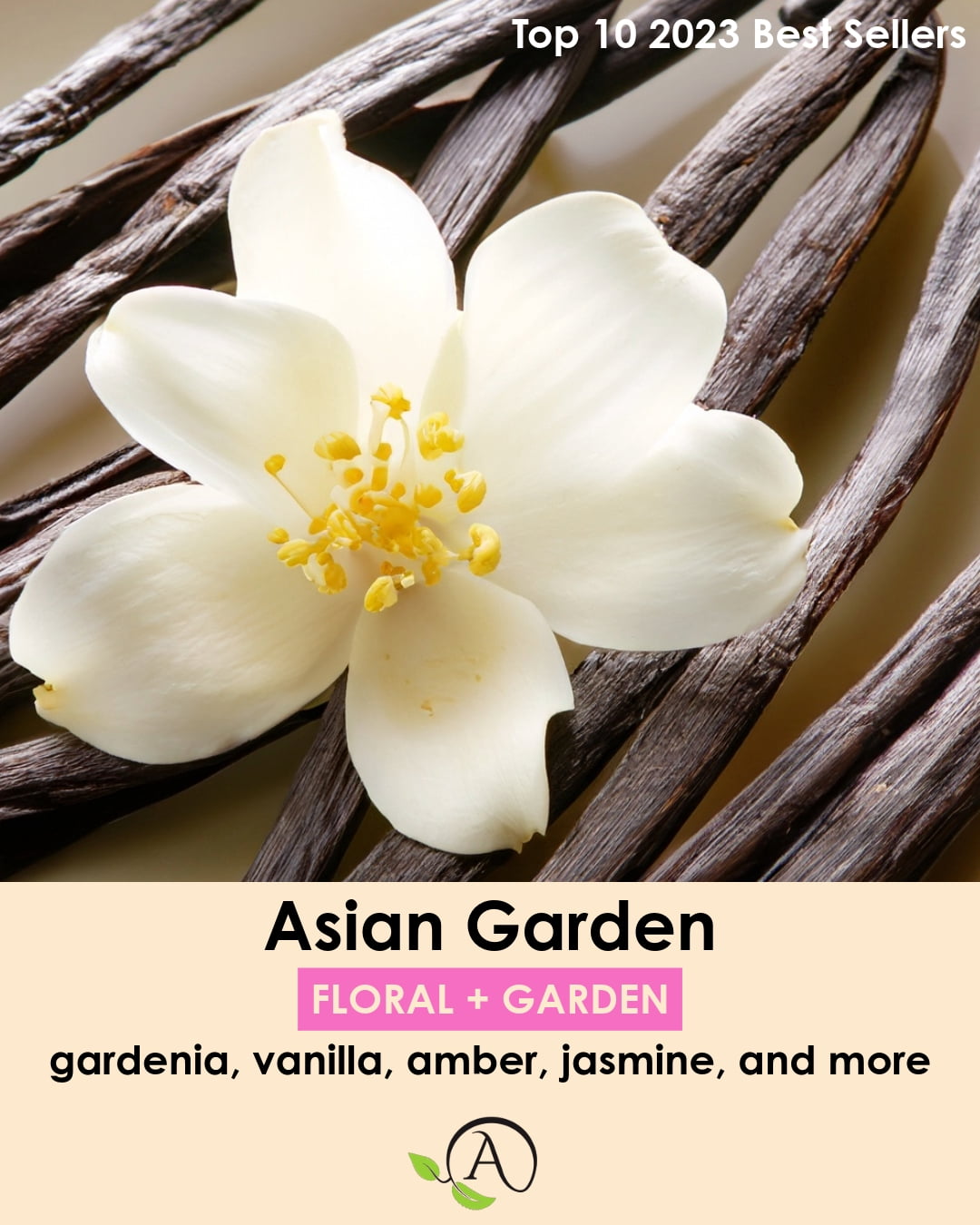 Aroma Retail Asian Garden Soy Wax Melts for Wax Warmer Floral Scent, 3-Pack