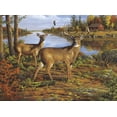 thumbnail image 2 of Buffalo Games Hautman Brothers Hidden Bay Puzzle, 1000 Piece, 2 of 2