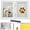 White, variant on Keyohome Dog or Cat Paw Print Kit Easy to Use Safe Pet Paw Print Impression Kit Solid Wood Dog Picture Frame for Handmade Crafting