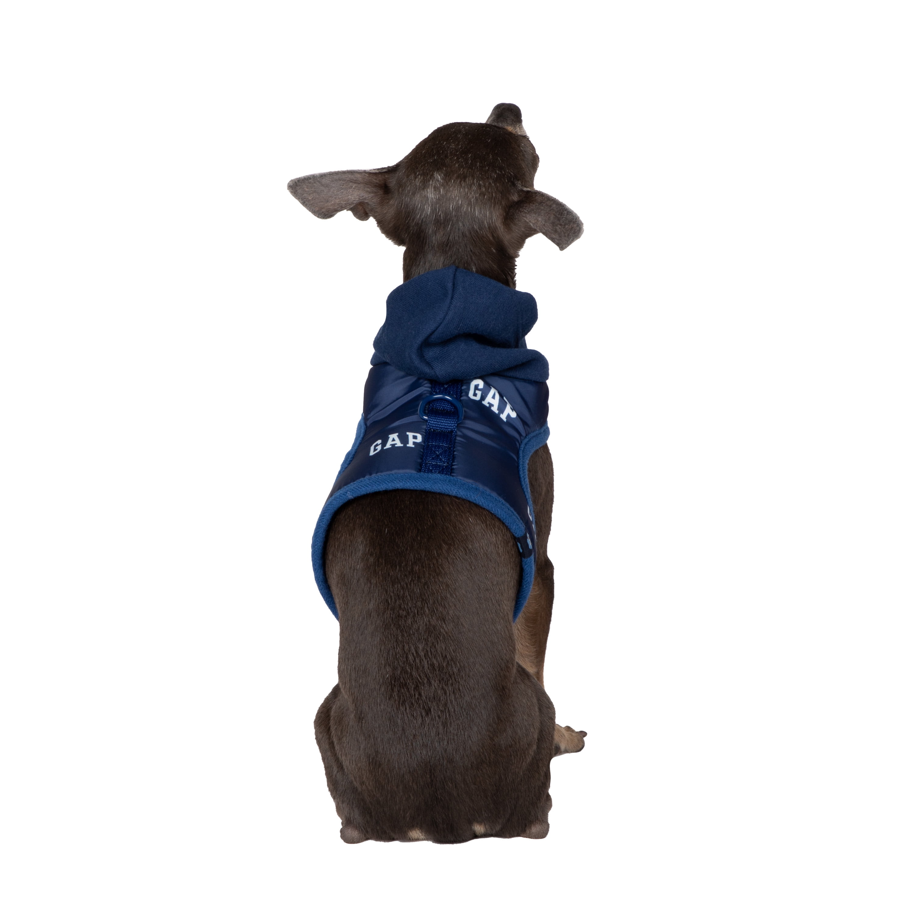 Gap Pet, Dog Harness, Hooded Dog Harness, with Recycled Polyester, Blue