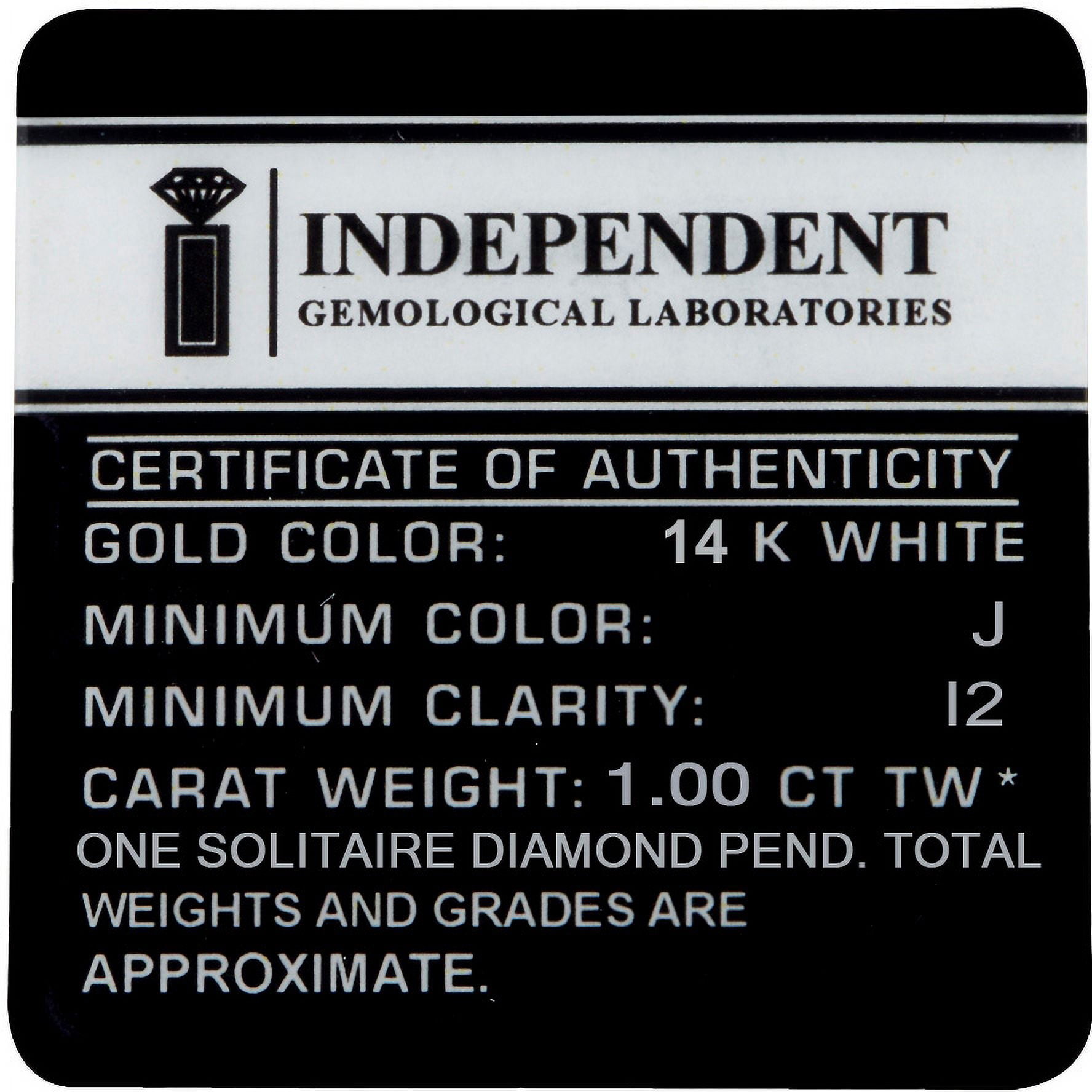 1.00 Carat T.W, 14K White Gold, IGL Certified Princess Diamond Pendant 18 Inch Chain