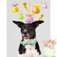 thumbnail image 4 of Collar de perro de estilo único con forma de patas de Pascua con lazo para perros, 4 of 6