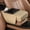 Beige, variant on Car Center Console, Multifunctional Car Armrest Storage Box with Cup Phone Tissue Holder & Side Pockets