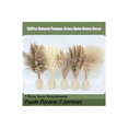 thumbnail image 2 of Plantas Decorativas 100pcs Pampas Secas Flores Artificiales, 2 of 3