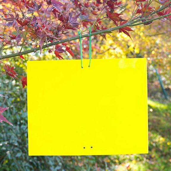 50 Pieces Double Sided Yellow Sticky Traps For Catching Flying Plant Such As Fungus, Gnats, Aphids, Mealybugs, Leafminers
