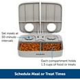 PetSafe Analog 2 Meal Programmable Pet Feeder, Automatic Dog and Cat