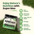 thumbnail image 2 of Suplemento de calostro bovino alimentado con pasto Super Moo de ImmergeHealth, 2 of 6