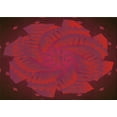 thumbnail image 1 of Ahgly Company Machine Washable Indoor Rectangle Transitional Red Area Rugs, 2' x 4', 1 of 7